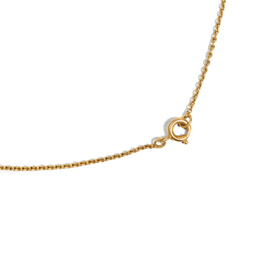 Antique Edwardian Garnet 18k Gold Fringe Drop Necklace